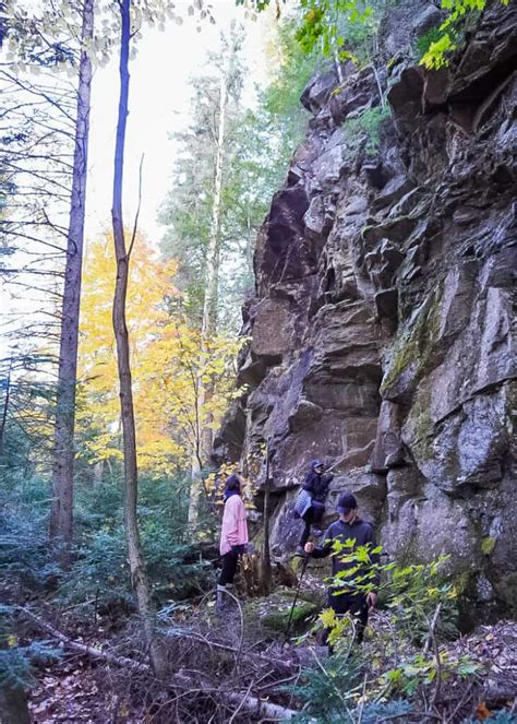 10 Best Hiking Trails in Algonquin Park for Families