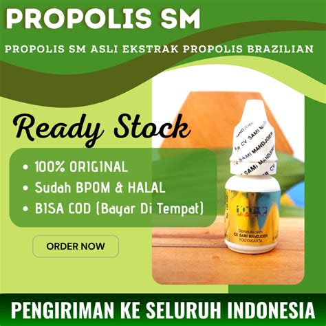 Jual Obat Herbal Alami Untuk Telinga Berdenging Kuping Berdengung