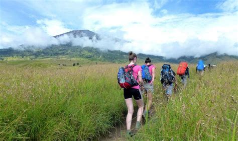 Hutan Sabana - Pengertian, Ciri, Flora Fauna & Wisata