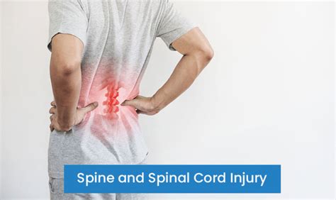 Spine and Spinal Cord Injury - KLE Hospital