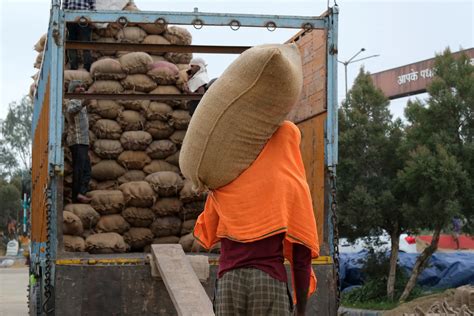 India Further Tightens Rice Shipments In Threat To Global Supply