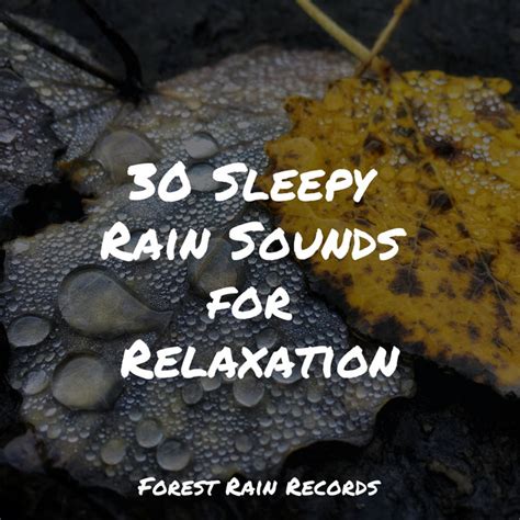 30 Sleepy Rain Sounds For Relaxation Album By Sonido Del Bosque Y