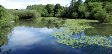 Coarse Fishing - Ilkley Angling Association