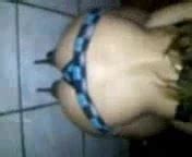 Perrita Amateur Amateur Porn XHamster