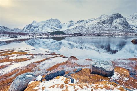 Fjord in winter, Norway stock photo. Image of sunset - 159461900