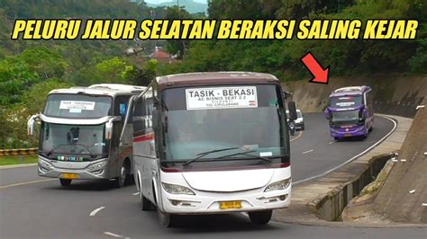 Sengitaksi Kejar Kejaran Bus Budiman Sumber Jaya Primajasa Bus