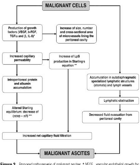 Figure 2 From Pathogenesis Of Malignant Ascites In Ovarian Cancer