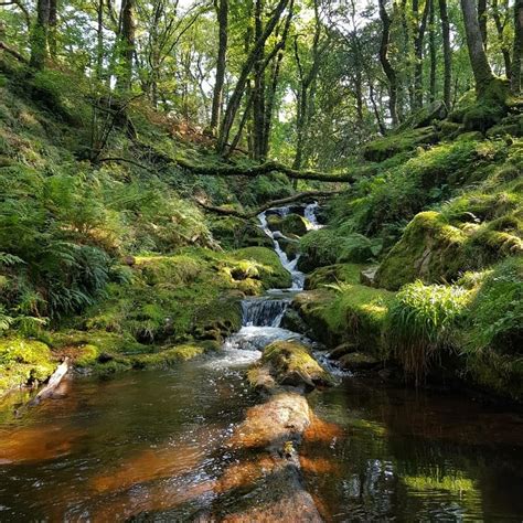 Forest waterfall | Forest waterfall, Scenery, Beautiful nature