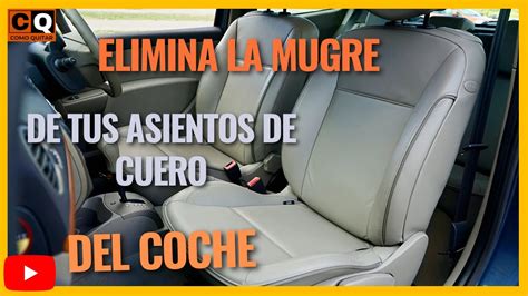 Como Quitar La Mugre De Los Asientos De Cuero Del Coche Restaurar