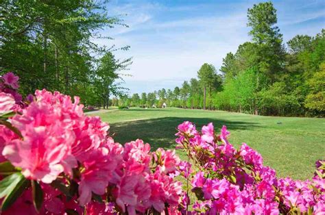 Magnolia Greens Plantation Golf Course | Leland, NC | 27 Holes of Championship Golf