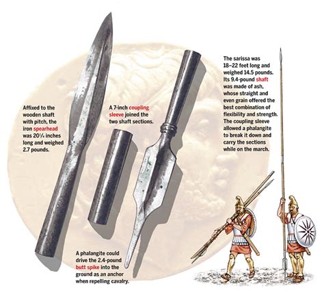 Macedonian Sarissa Spartan Hunting Spear Of Philip Ii