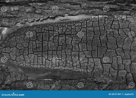 Textura De Madera Quemada Imagen De Archivo Imagen De Peligro 28721401