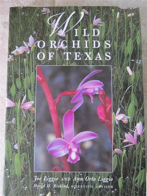 Wild Orchids Of Texas Corrie Herring Hooks Series Liggio Joe
