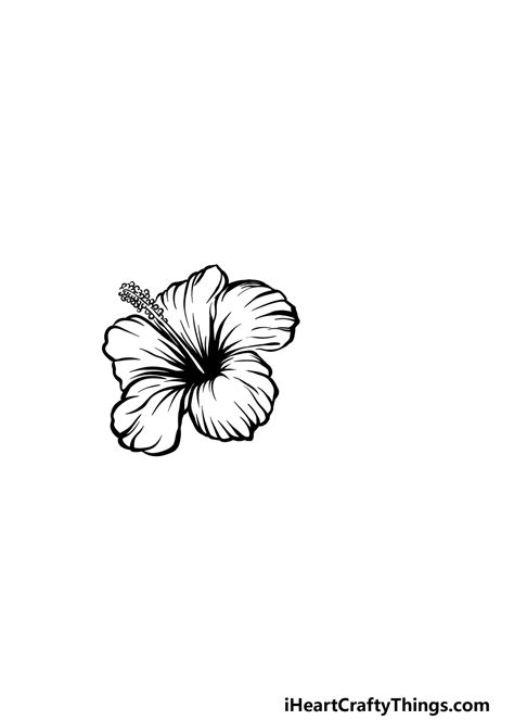 how to draw a hawaiian flower easy