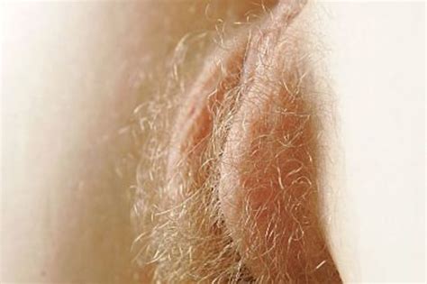 Thread HAIRED COLORED PUSSY Red Blonde Blue Pink Whatever But Normal Black Just Videos