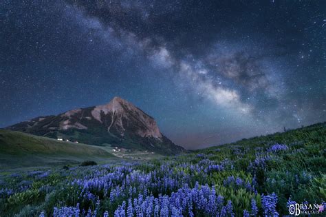 Milky Way over Crested Butte Wildlfowers