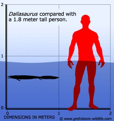 Dallasaurus The First Freshwater Mosasauroid Upper Cretaceous
