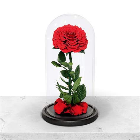 Preserved Roses – Gold Rose Emporium