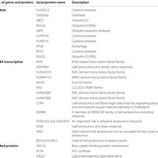 Genes and proteins involved in leaf senescence | Download Scientific ...