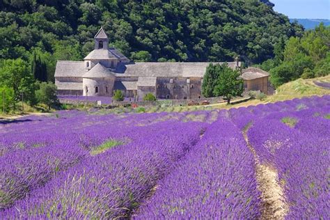 Small Group Provence and Lavender Museum Day Trip from Avignon 2022