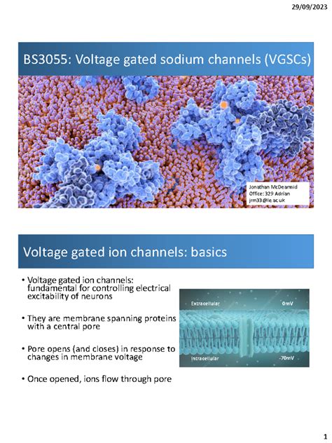 Lecture 1 Voltage gated sodium channels structure and gating - Jonathan ...