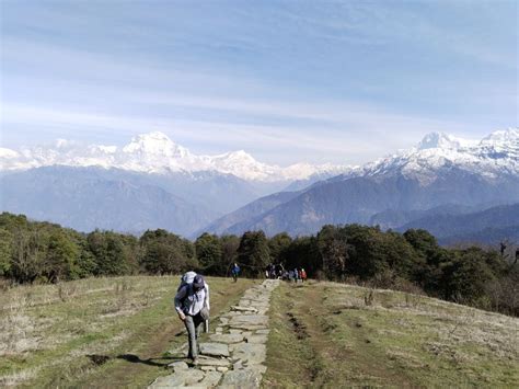 2 Nuits 3 Jours Poon Hill Ghandruk Trek GetYourGuide