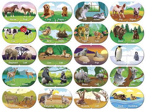 Animals Matching Masterpieces Puzzle Warehouse