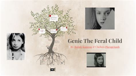 Genie The Feral Child by Chelsea Phengchanh on Prezi