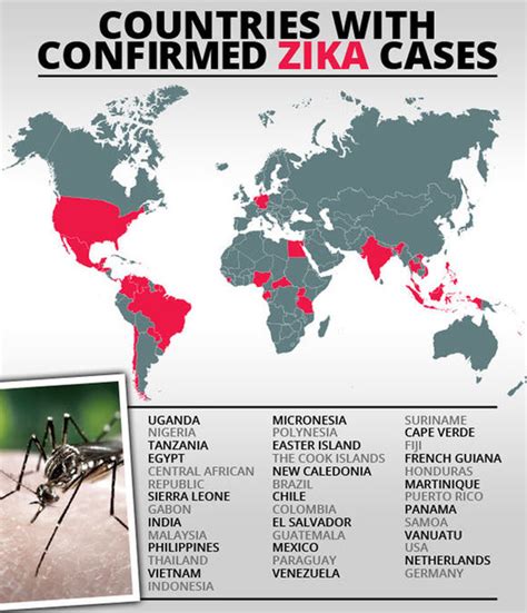 REVEALED What You NEED To Know About The Zika Virus Before Travelling