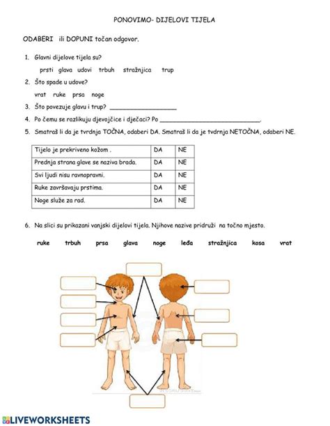 Dijelovi Tijela Razred Worksheet