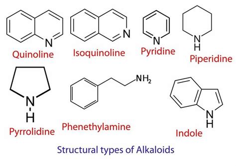 Structural Types Of Alkaloids Ciencia