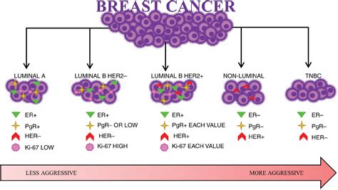 Figure 1 From Clinical Significance Of The CXCL8 CXCR1 R2 Signalling