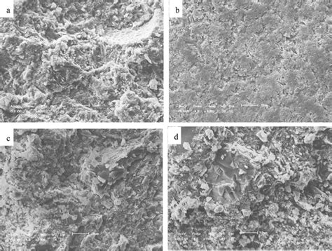 Sem Analysis Of The Zeolite Surface And Internal Morphology Before And