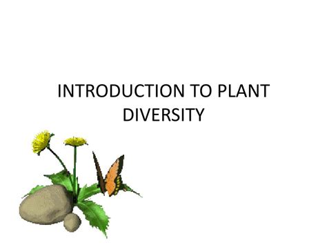 Ppt Introduction To Plant Diversity Powerpoint Presentation Free Download Id2189581