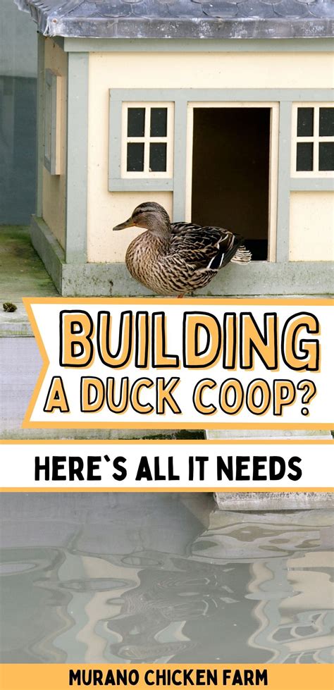 DIY Duck Enclosure Ideas: 10 Ways to Create a Safe Haven for Your Ducks