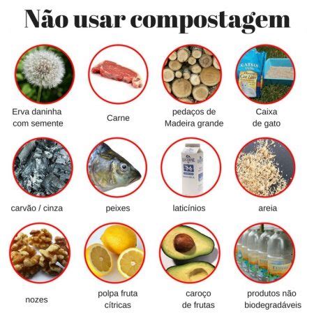 Compostagem O Que Pode E O Que N O Pode Ir Para A Composteira Assim