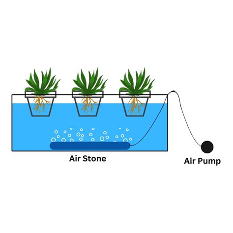 6 Types Of Hydroponic Systems Tips To Choose Between Them