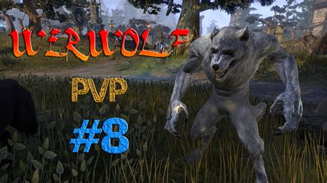 Elder Scrolls Online PVP 8 Werwolf Doing Werwolf Things YouTube