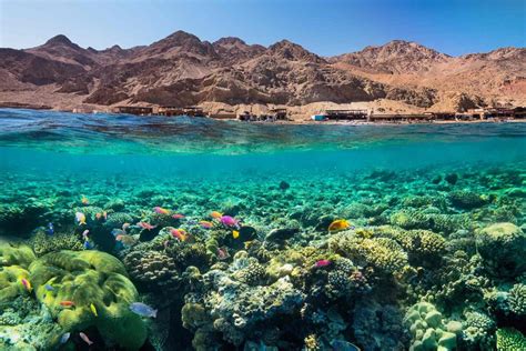 Melhores Praias Do Egito 2025 Grupo Dicas De Viagem