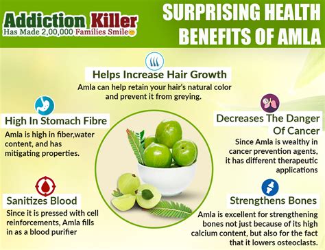 Amla Organically Known As Phyllanthus Emblica Is A Standout Amongst