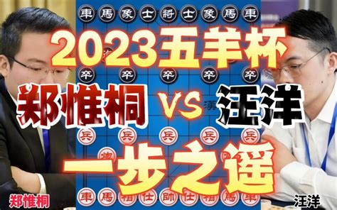 郑惟桐vs汪洋 解杀还杀精彩绝伦 2023五羊杯半决赛 哔哩哔哩