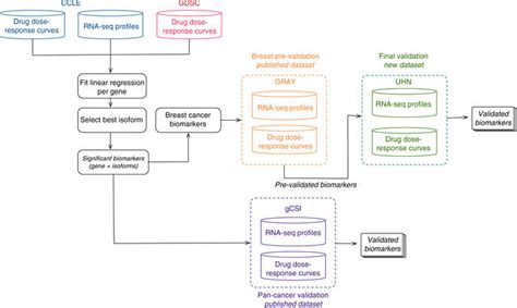 Gene Isoforms As Expression Based Biomarkers Predictive Of Drug