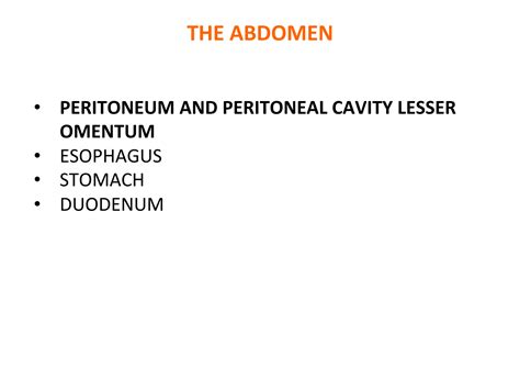 Solution Anatomy Peritoneum Peritoneal Cavity Lesser Omentum