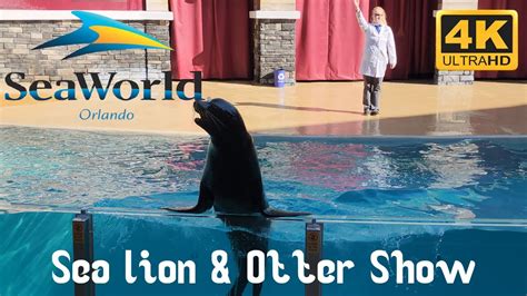 Sea Lion And Otter Spotlight Full Show Seaworld Orlando 2023 4k Video