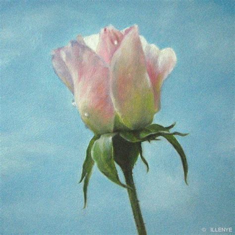 Rose Bud Painting at PaintingValley.com | Explore collection of Rose ...