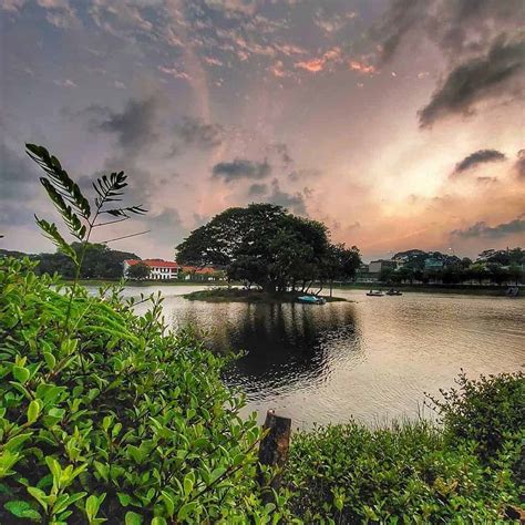 5 Reasons Why Chennai Chetpet Eco Park Is A Nature Lover's Paradise