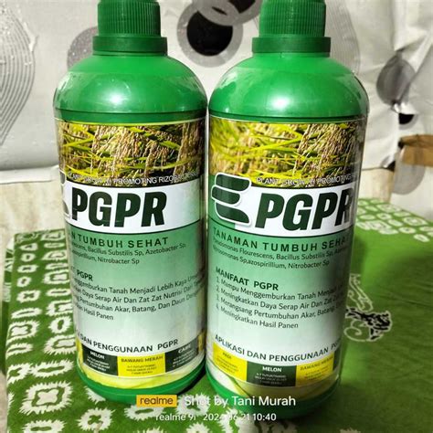 Jual Pupuk Organik Cair Pgpr Rizobacteria Fungisida Hayati Shopee