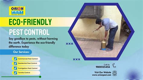 Eco Friendly Pest Control A Sustainable Solution