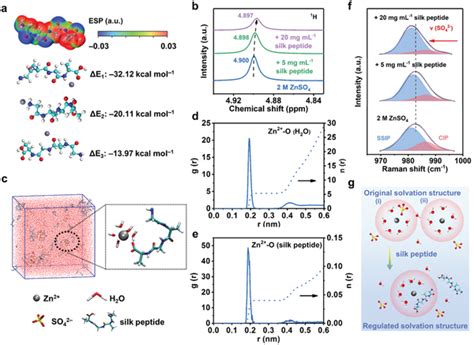 A Dft Calculations Of Binding Energies Between Zn²⁺ And Cooh Δe1