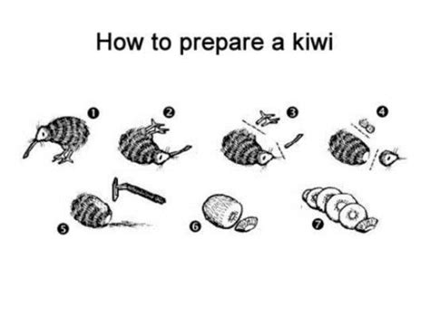 How To Prepare A Kiwi Meme Subido Por Frikysnooze Memedroid